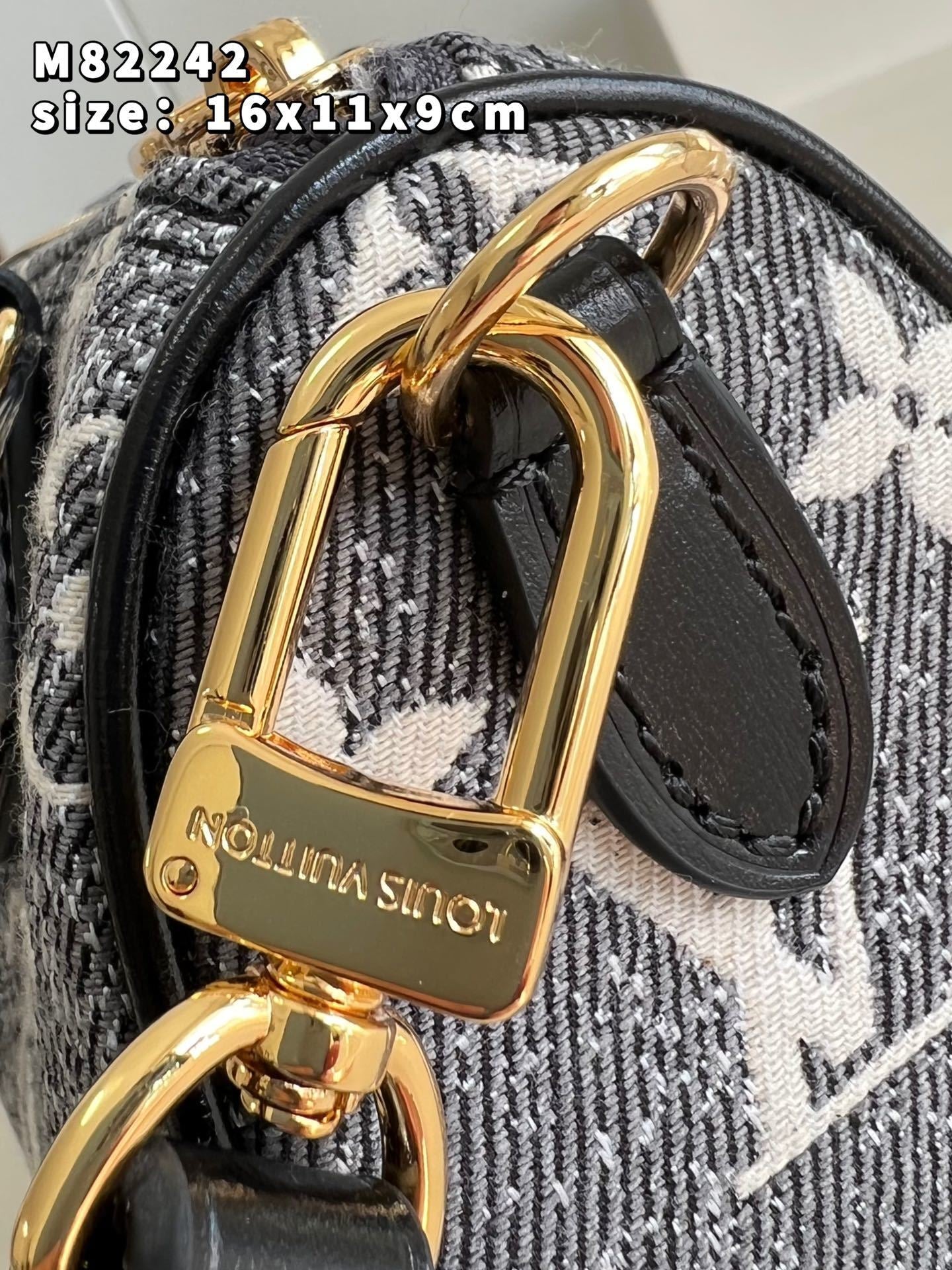 Sac LV Nano Speedy Jean